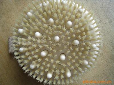 【供应外贸出口天然环保浴刷(图)】价格,厂家,图片,工艺礼品项目合作,宁波市鄞州天妃制刷工艺品有限责任公司-